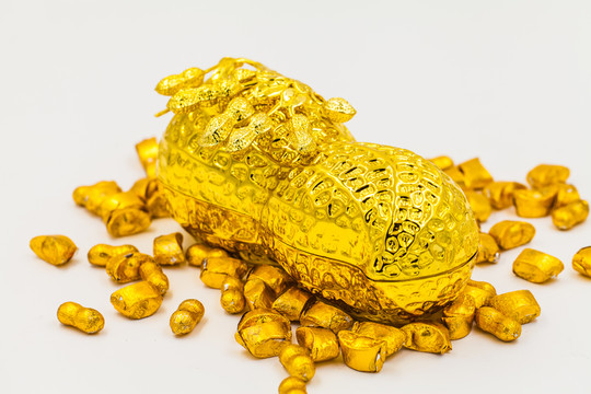 金花生財(cái)源滾滾
