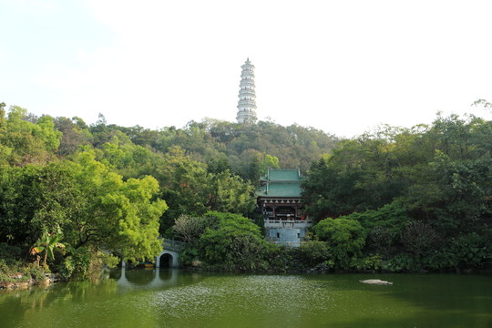 美麗的公園