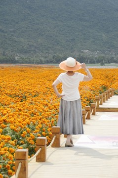 海南三亞花海圖片
