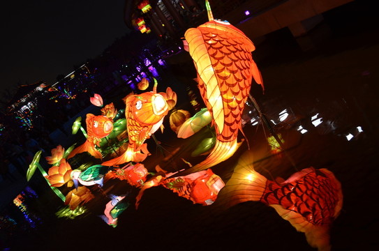 金魚(yú)