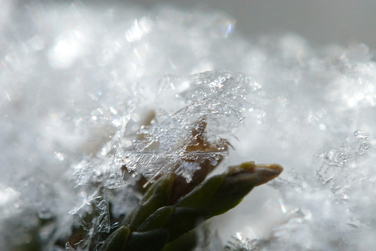 雪花 冰晶