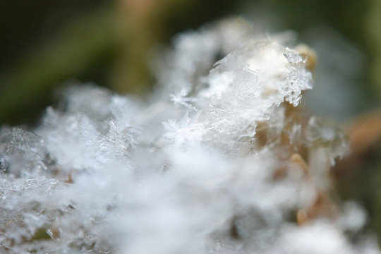 雪花特寫