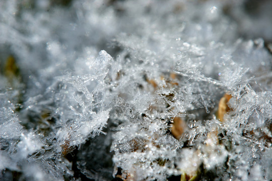 雪花特寫