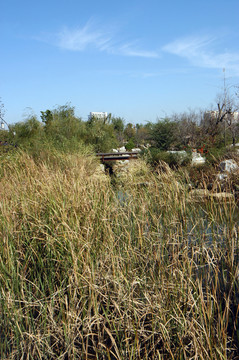 山東棗莊南方植物園