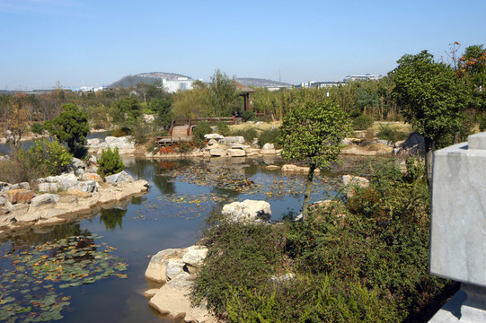 山東棗莊南方植物園