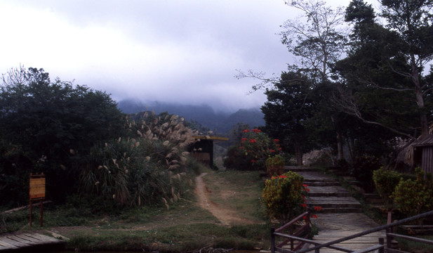 濃蔭深處