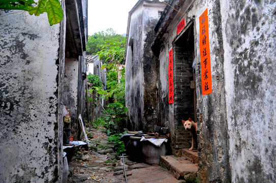 老屋 鄉(xiāng)愁 民居