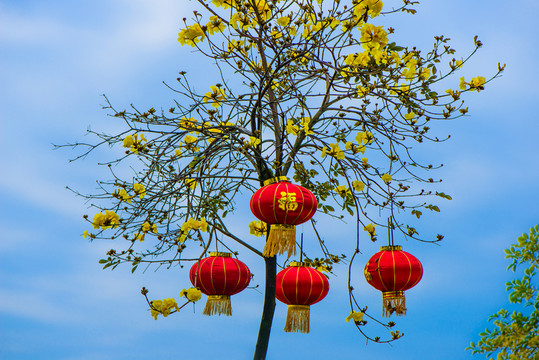 春節(jié)紅燈籠