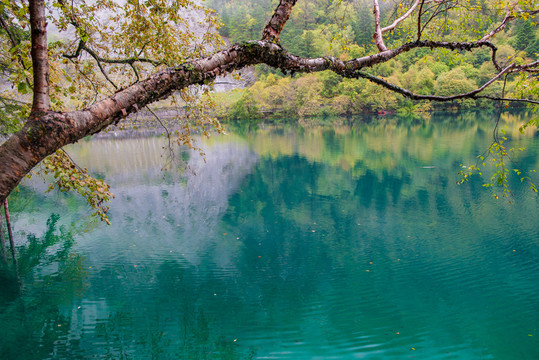 九寨風(fēng)景