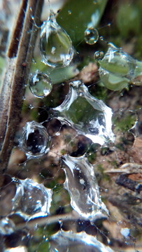 水珠