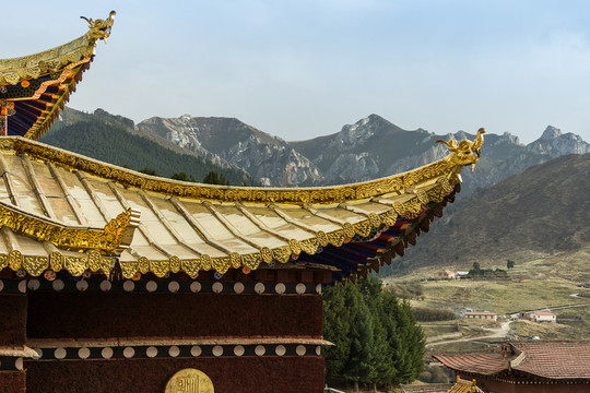 甘南賽赤寺建筑金頂挑檐