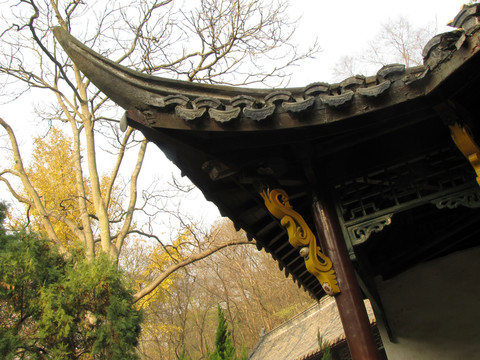 中國傳統(tǒng)建筑飛檐 寶宋新齋