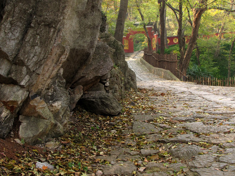 深山藏古寺 滁州瑯琊寺