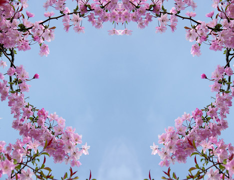 海棠花 花環(huán)