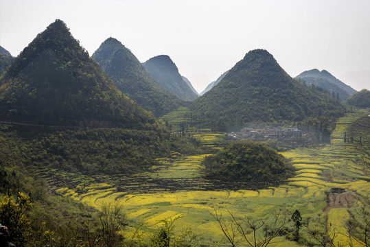 十萬大山風光