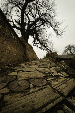 路