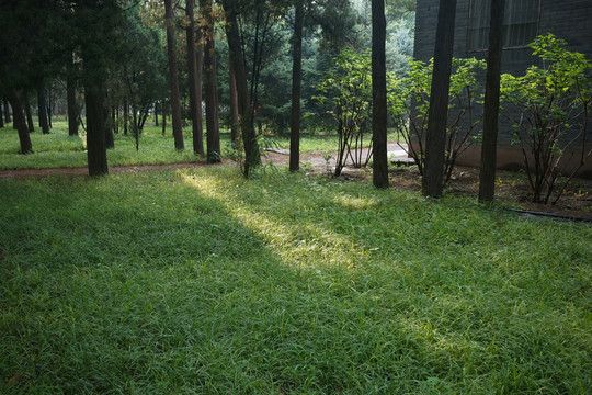 公園