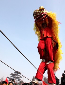 獅子走鋼絲