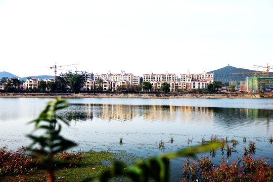 河岸風(fēng)景