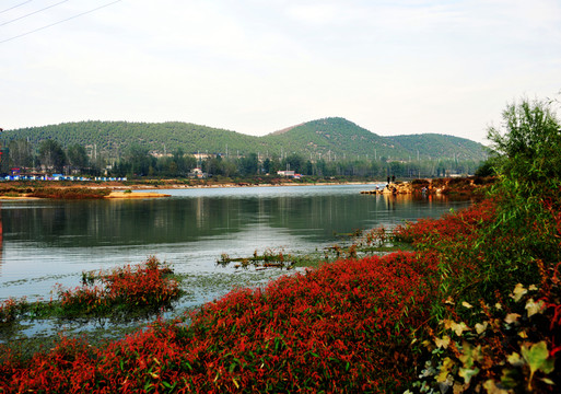 河岸風(fēng)景