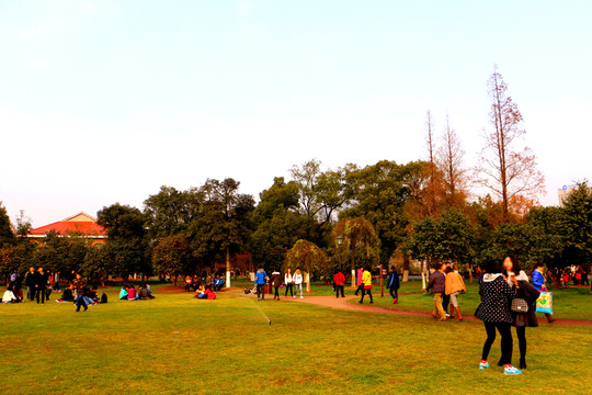 大學(xué)校園草坪學(xué)生休閑生活