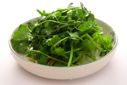胡荽