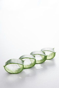 創(chuàng)意蘆薈