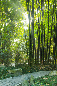 望江公園