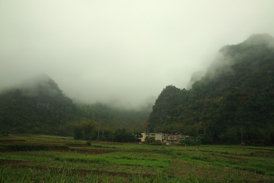 田園
