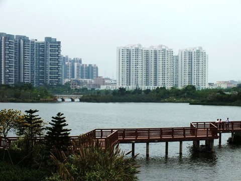 美麗花都湖