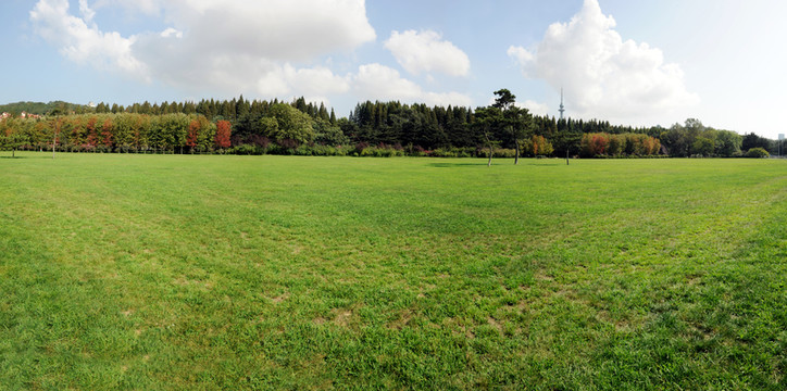青島中山公園大草坪 寬幅高清