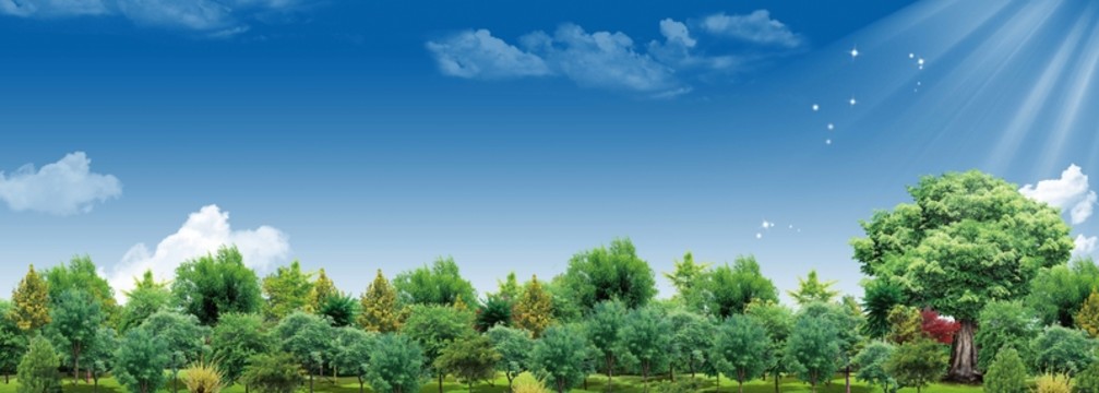 樹林