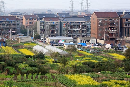 城郊農(nóng)居