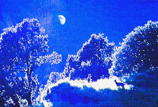 月夜風景畫