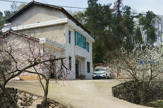 鄉(xiāng)村樓房