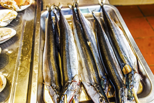 秋刀魚
