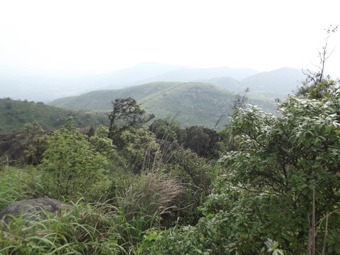 大山