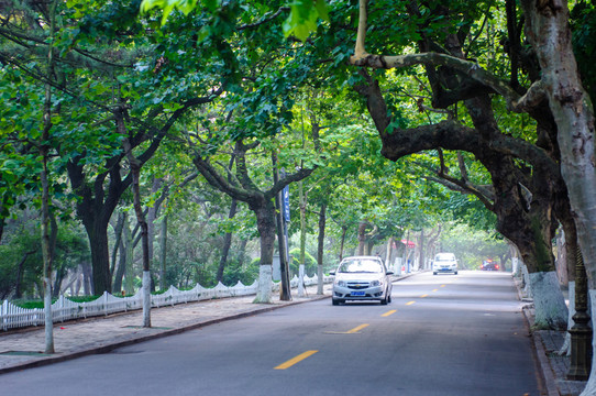 八大關(guān)景區(qū)街景