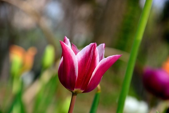 靈石公園
