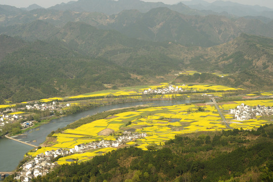 安徽歙縣石潭油菜花