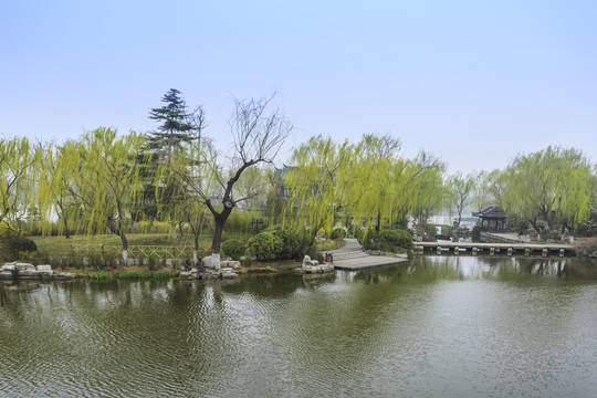 湖景