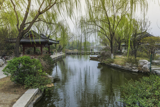 大明湖