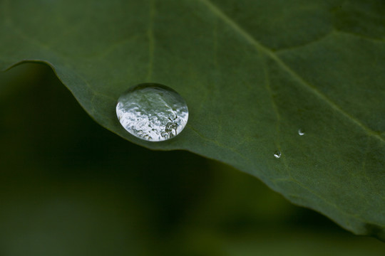 水珠