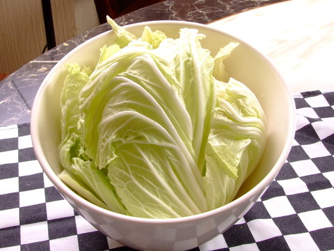 大白菜