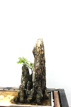 假山 園林