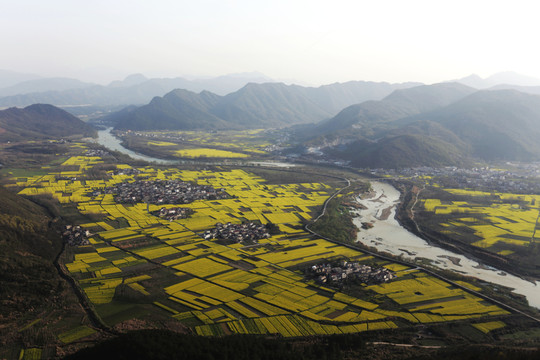 河流 油菜花