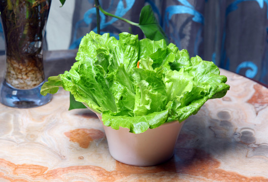 生菜