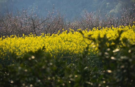 鄉(xiāng)村