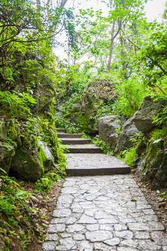 山路