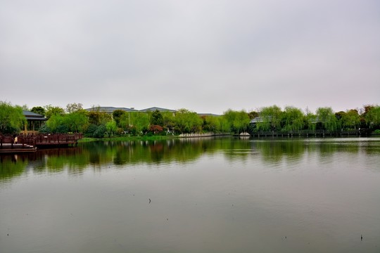 顧村公園